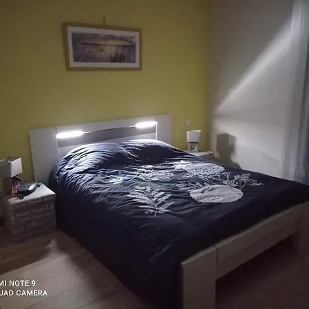 Maison Cosy A Cote De Biscarrosse *